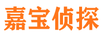 京山侦探公司